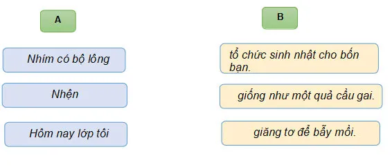 Phiếu bài tập cuối tuần Tiếng Việt 1 sách Kết nối tri thức với cuộc sống (Cả năm)