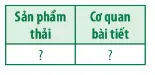 Sinh học 11 Bài 13: Bài tiết và cân bằng nội môi