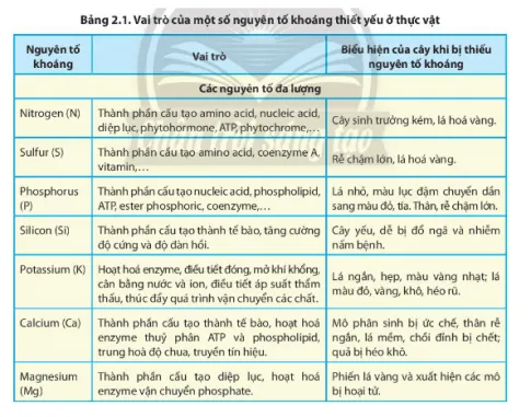 Sinh học 11 Bài 2: Trao đổi nước và khoáng ở thực vật