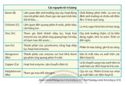 Sinh học 11 Bài 2: Trao đổi nước và khoáng ở thực vật