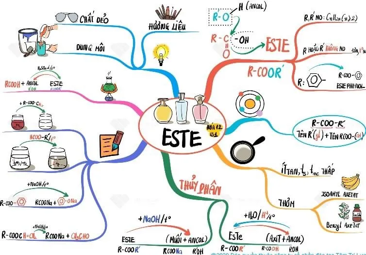 Sơ đồ tư duy Este lớp 12
