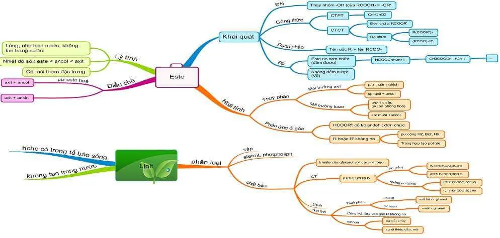 Sơ đồ tư duy Este lớp 12