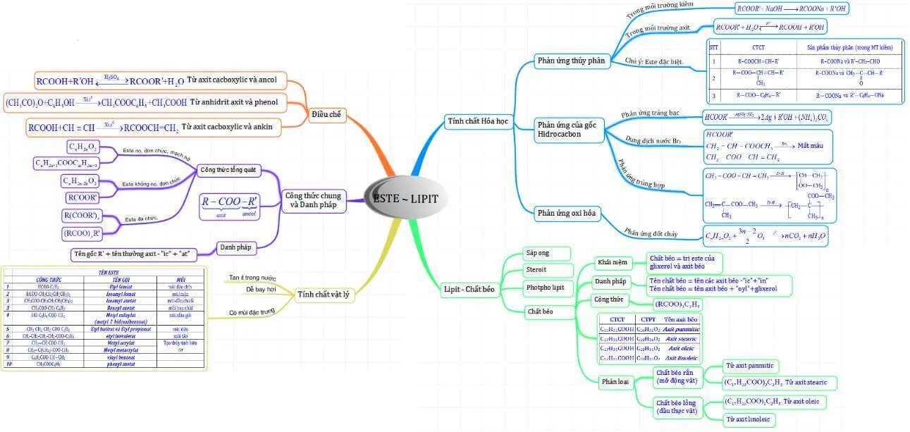Sơ đồ tư duy Este lớp 12