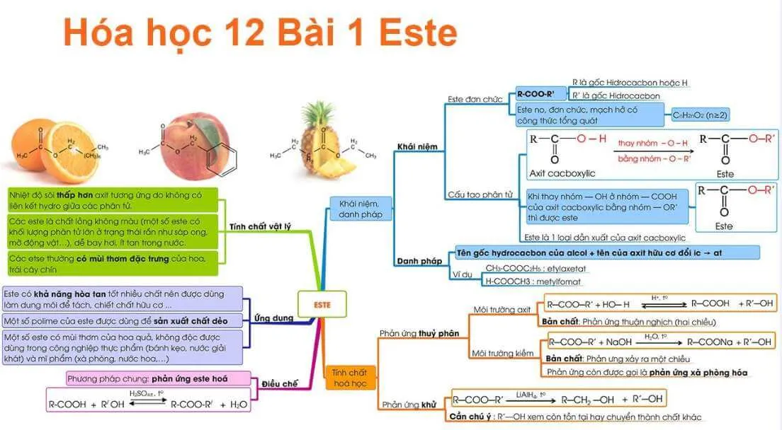 Sơ đồ tư duy Este lớp 12