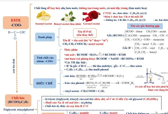 Sơ đồ tư duy Este lớp 12