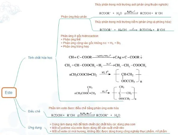 Sơ đồ tư duy Este lớp 12