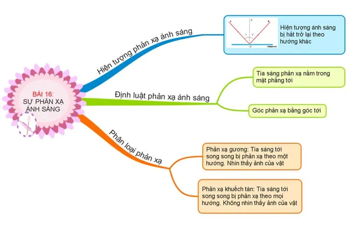 Sơ đồ tư duy môn Khoa học tự nhiên 7 sách Kết nối tri thức với cuộc sống