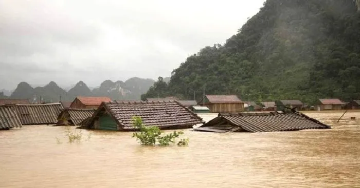 Soạn bài Miền châu thổ sông Cửu Long cần chuyển đổi từ sống chung sang chào đón lũ Kết nối tri thức