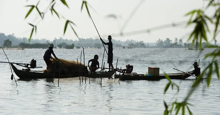 Soạn bài Mùa nước nổi (trang 12)