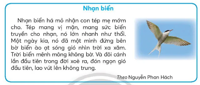 Soạn bài Ôn tập cuối học kì II trang 127