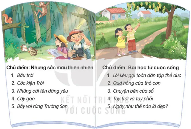 Soạn bài Ôn tập giữa học kì 2 (trang 71)