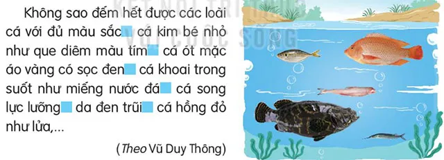 Soạn bài Ôn tập giữa học kì 2 (trang 71)