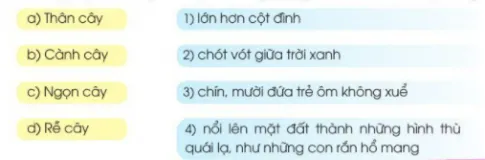 Soạn bài Ôn tập giữa học kì II (trang 73)