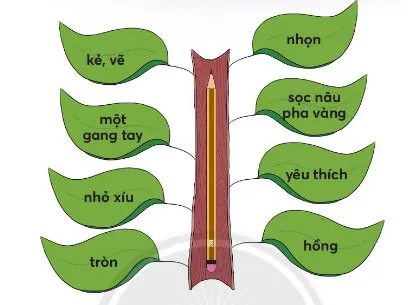 Soạn bài Thời khóa biểu trang 117