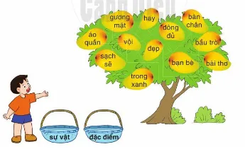 Soạn bài Vui đến trường (trang 79)