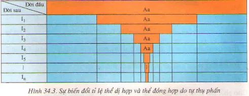 Soạn Sinh 9 Bài 34: Thoái hóa do tự thụ phấn và do giao phối gần