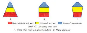 Soạn Sinh 9 Bài 47: Quần thể sinh vật