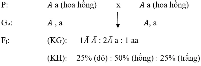 Soạn Sinh 9 Bài 7: Bài tập chương I