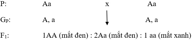 Soạn Sinh 9 Bài 7: Bài tập chương I