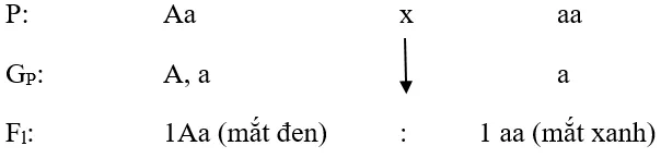 Soạn Sinh 9 Bài 7: Bài tập chương I