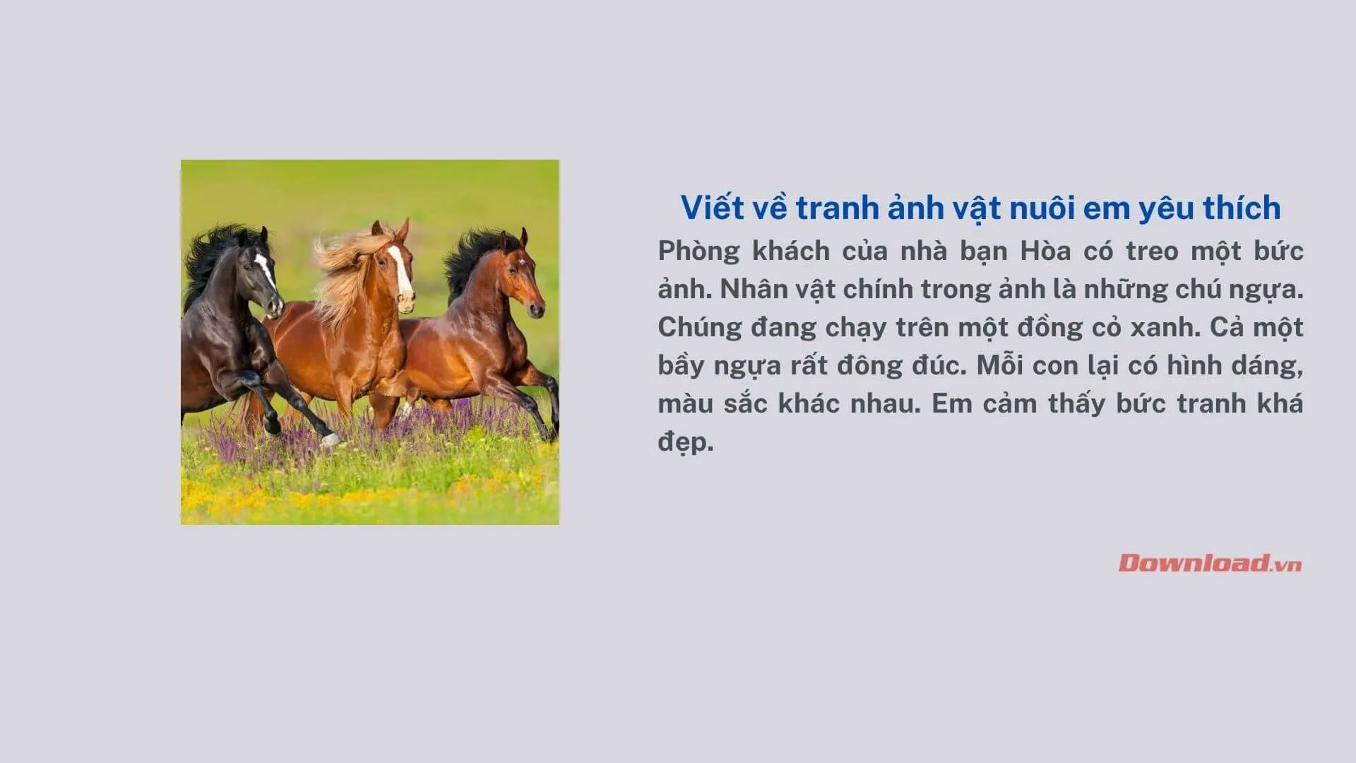 Tập làm văn lớp 2: Hãy viết 4 – 5 câu về tranh (ảnh) vật nuôi em yêu thích