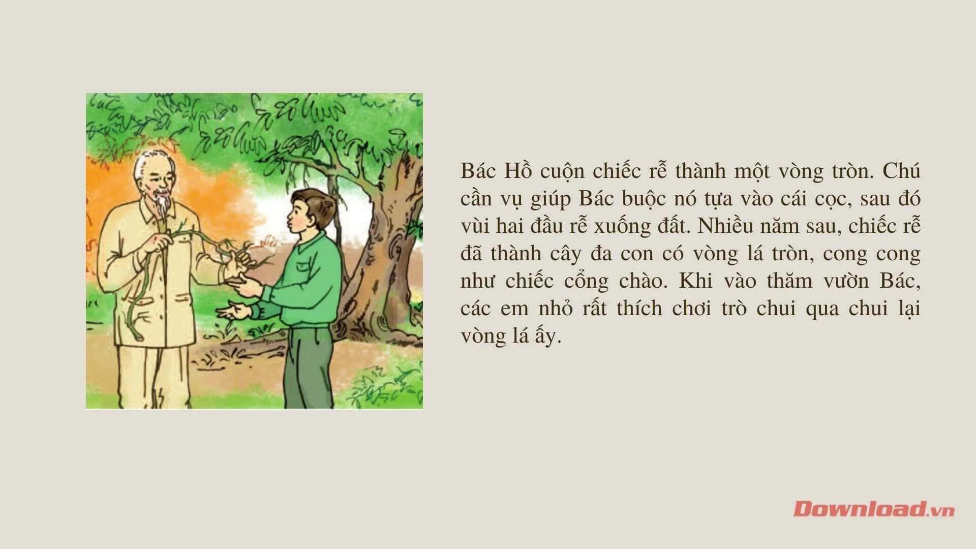 Tập làm văn lớp 2: Kể lại một việc Bác Hồ đã làm trong câu chuyện Chiếc rễ đa tròn