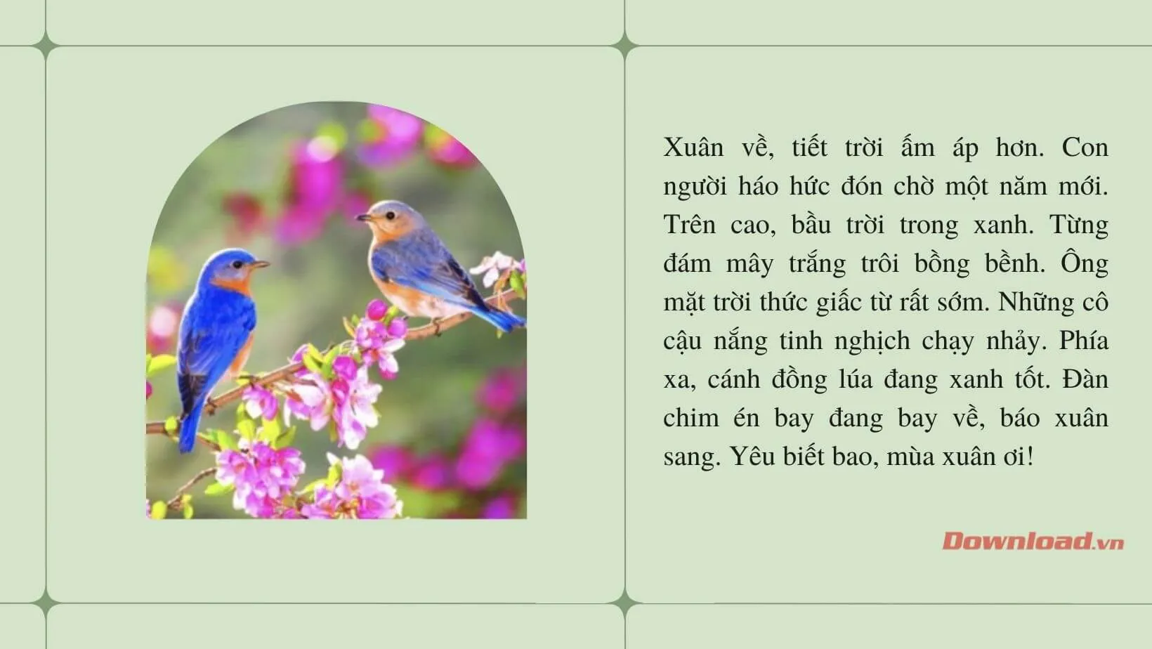 Tập làm văn lớp 2: Tả cảnh mùa xuân