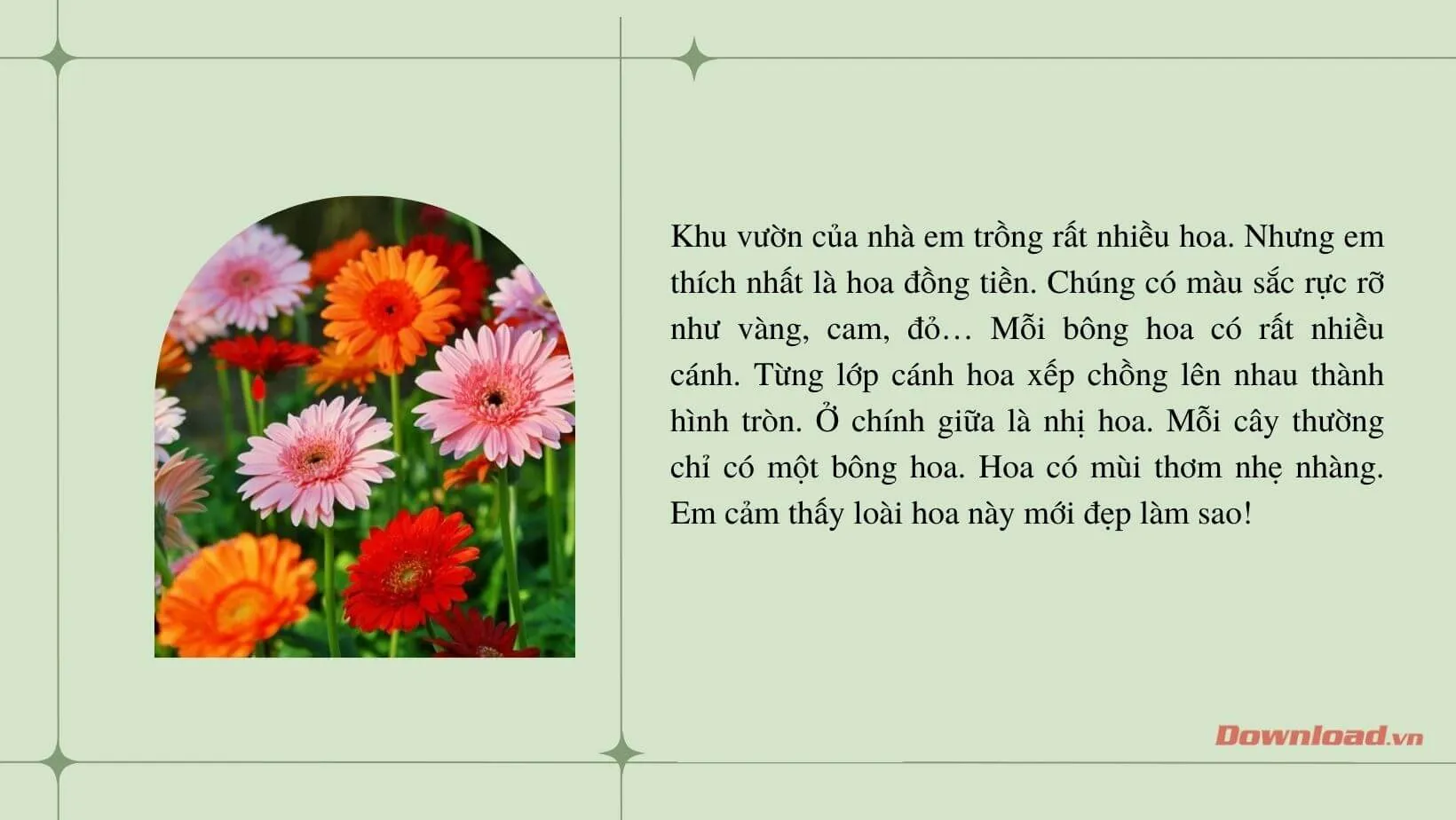 Tập làm văn lớp 2: Tả hoa đồng tiền (7 mẫu)