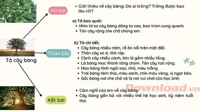 Tập làm văn lớp 4: Tả cây bàng trên sân trường em (Sơ đồ tư duy)