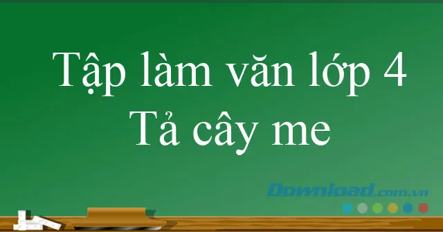 Tập làm văn lớp 4: Tả cây me (Dàn ý + 6 mẫu)