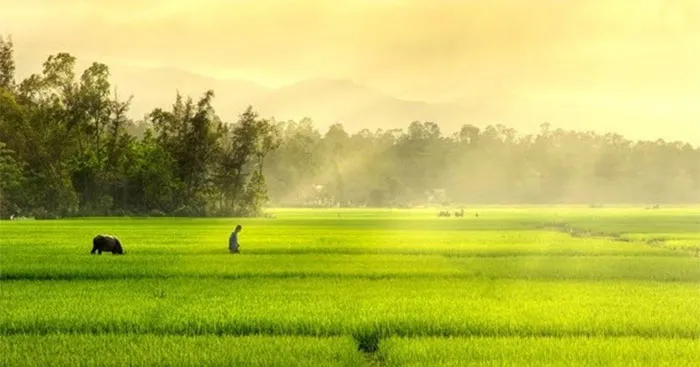 Tập làm văn lớp 5: Dàn ý Tả một ngày mới bắt đầu ở quê em (8 mẫu)