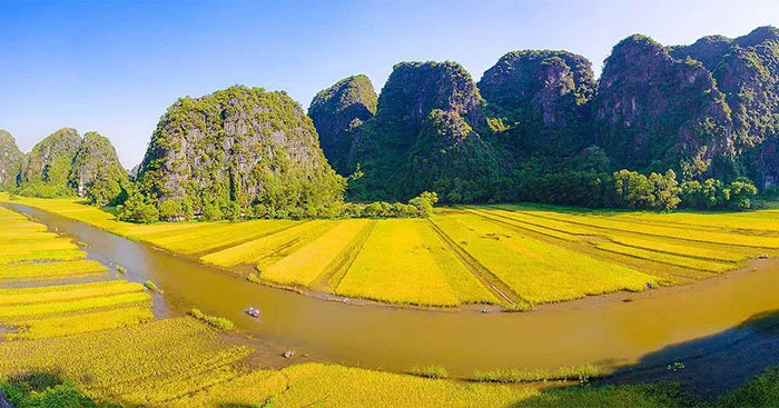 Tập làm văn lớp 5: Tả cảnh buổi sáng trên cánh đồng