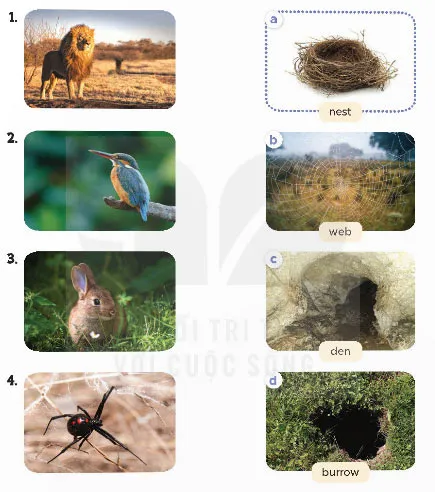 Tiếng Anh lớp 4 Extension Activities