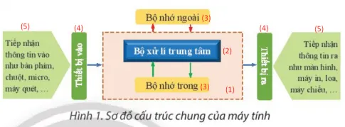 Tin học 8 Bài 8A: Thêm hình minh họa cho văn bản