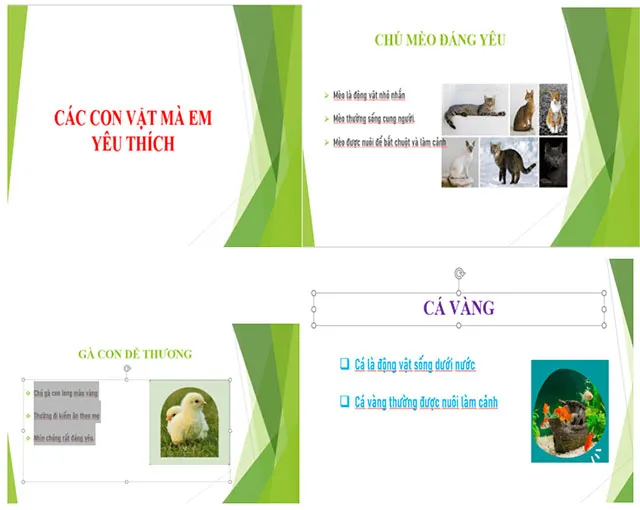 Tin học lớp 4 Bài 10: Định dạng, tạo hiệu ứng cho trang chiếu