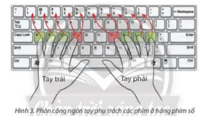 Tin học lớp 4 Bài 2: Gõ bàn phím đúng cách