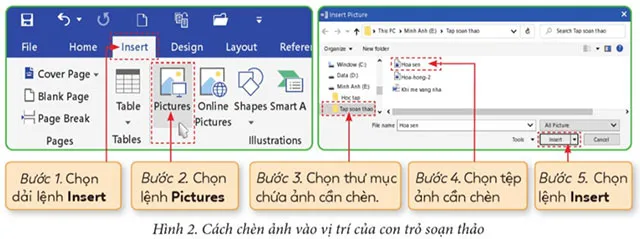 Tin học lớp 4 Bài 4: Chèn ảnh vào văn bản