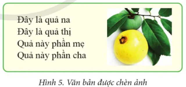 Tin học lớp 4 Bài 4: Chèn ảnh vào văn bản