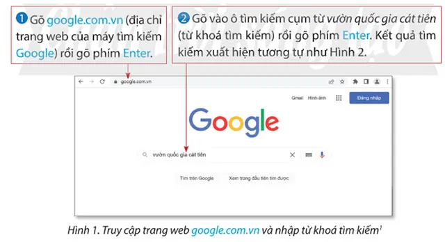 Tin học lớp 4 Bài 4: Tìm kiếm thông tin trên Internet