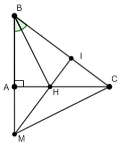 Tính chất trực tâm trong tam giác: Lý thuyết và các dạng bài tập