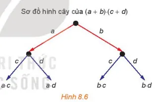 Toán 10 Bài 25: Nhị thức Newton