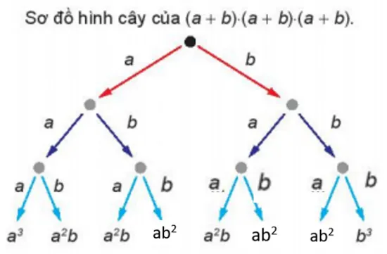 Toán 10 Bài 25: Nhị thức Newton