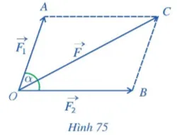 Toán 10: Bài tập cuối chương IV – Cánh diều