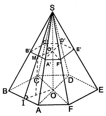 Toán 11 Bài 5: Góc giữa đường thẳng và mặt phẳng. Góc nhị diện