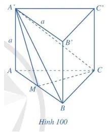 Toán 11 Bài tập cuối chương VIII