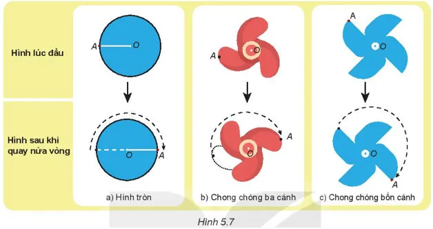 Toán 6 Bài 22: Hình có tâm đối xứng