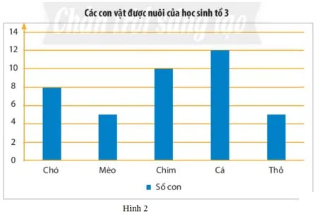 Toán 6 Bài 4: Biểu đồ cột, Biểu đồ cột kép