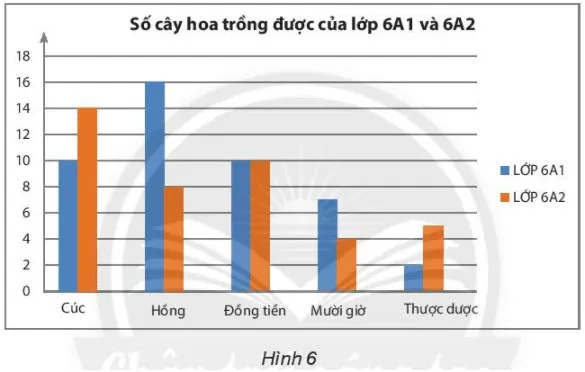 Toán 6 Bài 4: Biểu đồ cột, Biểu đồ cột kép