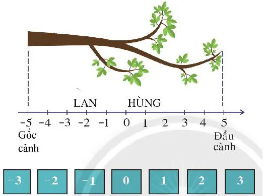 Toán 6 Bài 5: Hoạt động thực hành và trải nghiệm