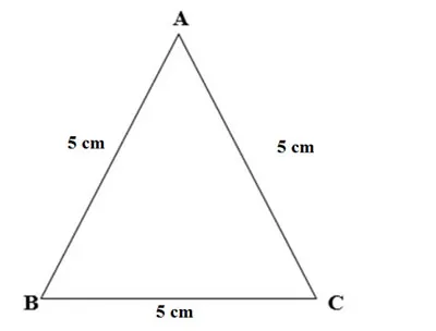 Toán 6 Bài tập cuối chương 3 – Chân trời sáng tạo